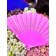 Seçili Renk Pembe