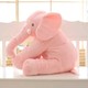  Renk Pembe