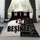Seçili Renk Renkli
