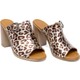  Renk Leopar