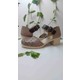  Renk 1214 Vizon