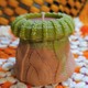 Seçili Renk Pembe - Yeşil - Kavuniçi
