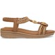  Renk Camel