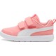  Renk Pembe