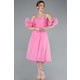  Renk Pembe