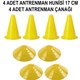 Seçili Renk Alaçatı