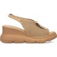  Renk Camel
