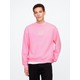  Renk Pembe
