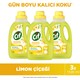 Seçili Renk Şeffaf