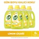 Seçili Renk Şeffaf