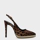  Renk Leopar