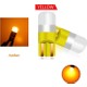  Renk Amber