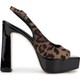  Renk Leopar