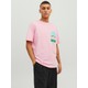  Renk Pembe