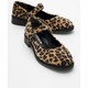  Renk Leopar