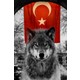 Seçili Renk Karışık