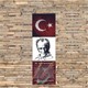 Seçili Renk Karışık