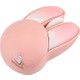  Renk Pembe