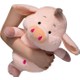  Renk Pembe