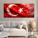 Seçili Renk Karışık