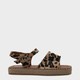  Renk Leopar