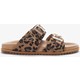  Renk Leopar