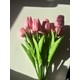  Renk Pembe