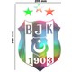 Seçili Renk Gri