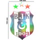 Seçili Renk Gri