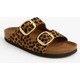  Renk Leopar