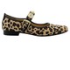  Renk Leopar