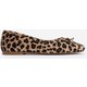  Renk Leopar