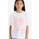  Renk Pembe-PN447