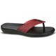 Renk Bordo