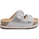  Renk Silver