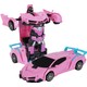  Renk Pembe