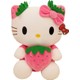  Renk 73 Pembe