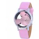  Renk Pembe