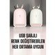 Seçili Renk Çok Renkli