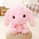  Renk Pembe