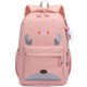  Renk Pembe