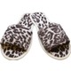  Renk Leopar