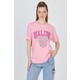  Renk Pembe