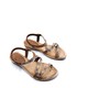  Renk Camel