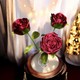  Renk Bordo