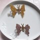  Renk Mor - Sarı