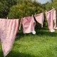 Seçili Renk Pembe