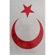 Seçili Renk Renkli