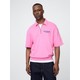  Renk Pembe