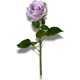  Renk Lila